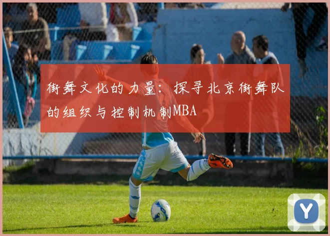 街舞文化的力量：探寻北京街舞队的组织与控制机制MBA