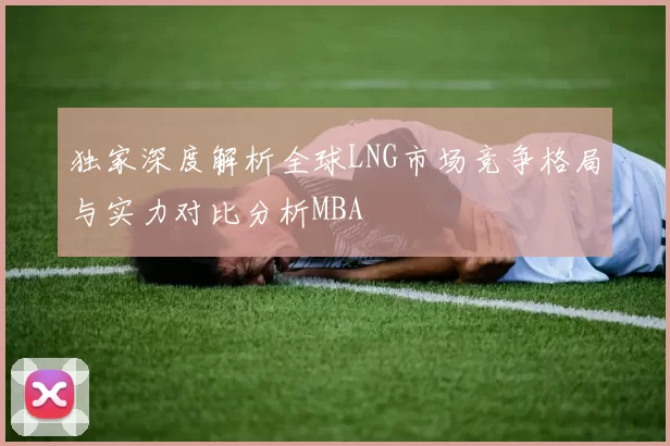独家深度解析全球LNG市场竞争格局与实力对比分析MBA